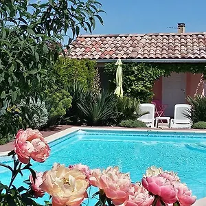 Les Cyprès Florentins , Colomiers France